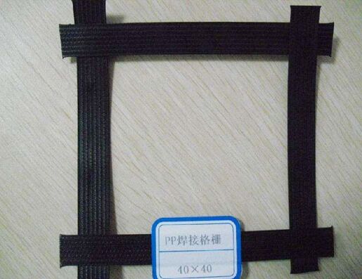 PP���������������