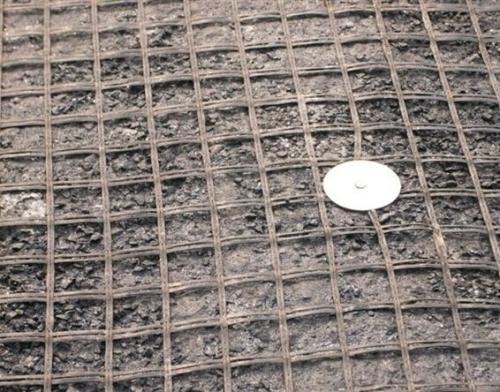 �p���������